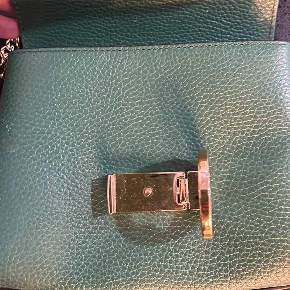 Green Goddess Gucci Combo - Picture 12 of 16